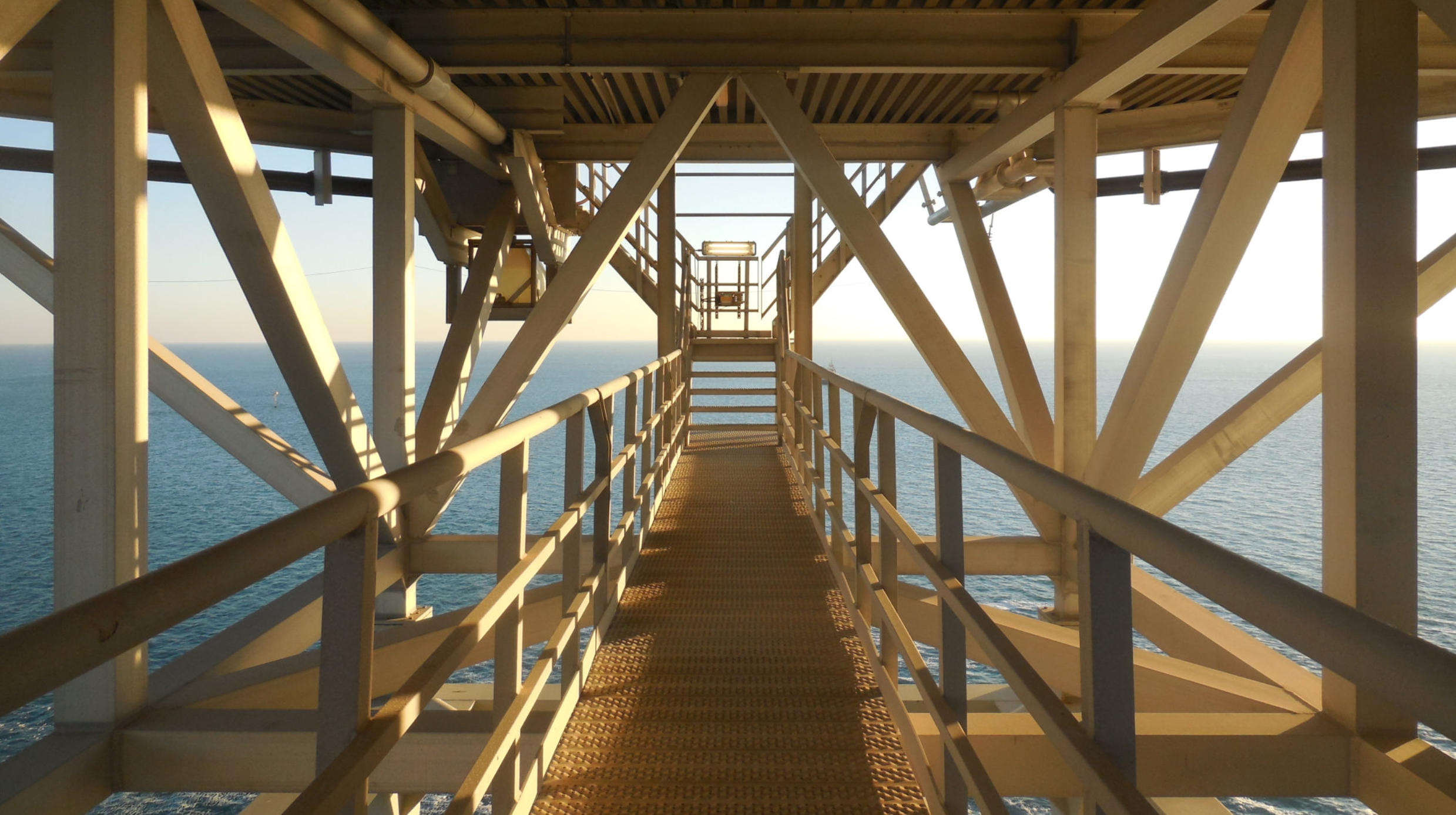 Remote Video Inspection