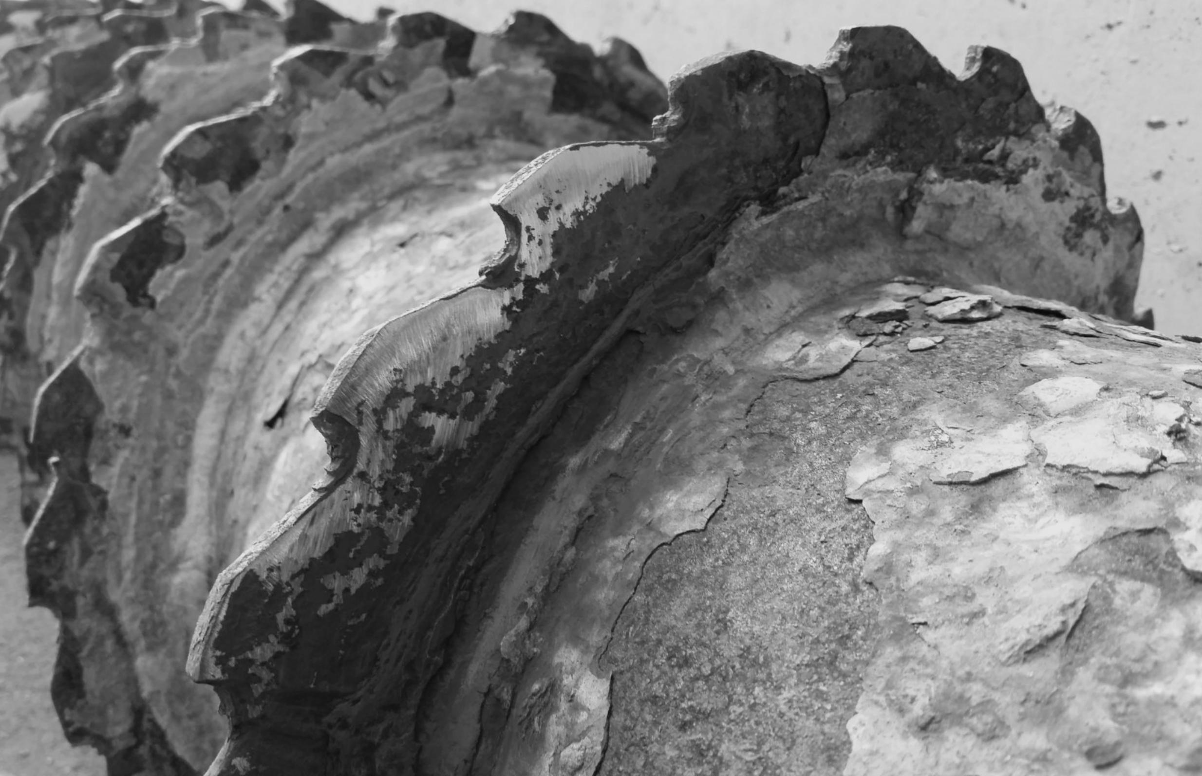 MATED S.r.l. laboratorio